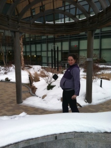 A quick trip to the Healing Garden to take in all the snow. 